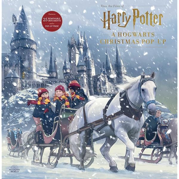 Amazon.com: Home Alone: The Official AAAAAAdvent Calendar (2021 Advent  Calendar): 9781647224158: Insight Kids: Books