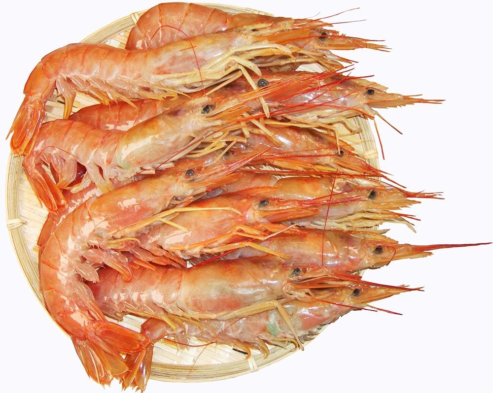 Amazon 刺身用 天然 特大18cm アルゼンチンエビ 赤エビ 6ｋｇ1尾 180尾 はせがわ食品 エビ 通販
