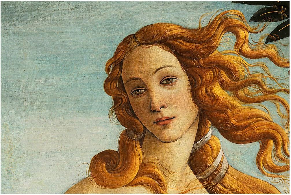 Closeup Birth of Venus - Botticelli - Rolled Canvas Wall Art Print - 24 in Wide