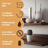 Furniture Clinic Wood Stain Walnut – Fast Drying, Water Based 250ml view 5