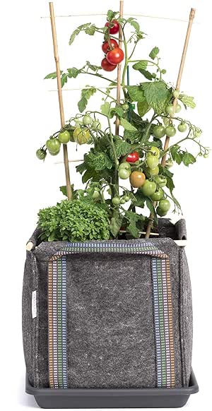 Saco Tomatero Mh (30x30x30cm) para huerto Urbano + Manual ...