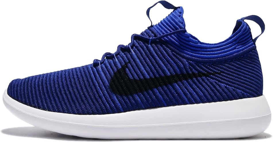 roshe two flyknit v2