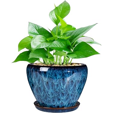 Amazon Best Sellers: Best Planters