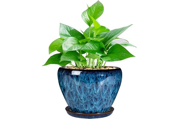 Ceramic Modern Glaze Succulent Planter Pot