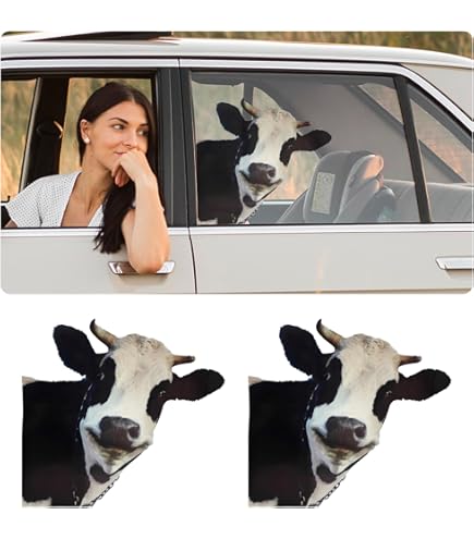 Import-Export Di Bovini Aubrac - La Nostra Esperienza