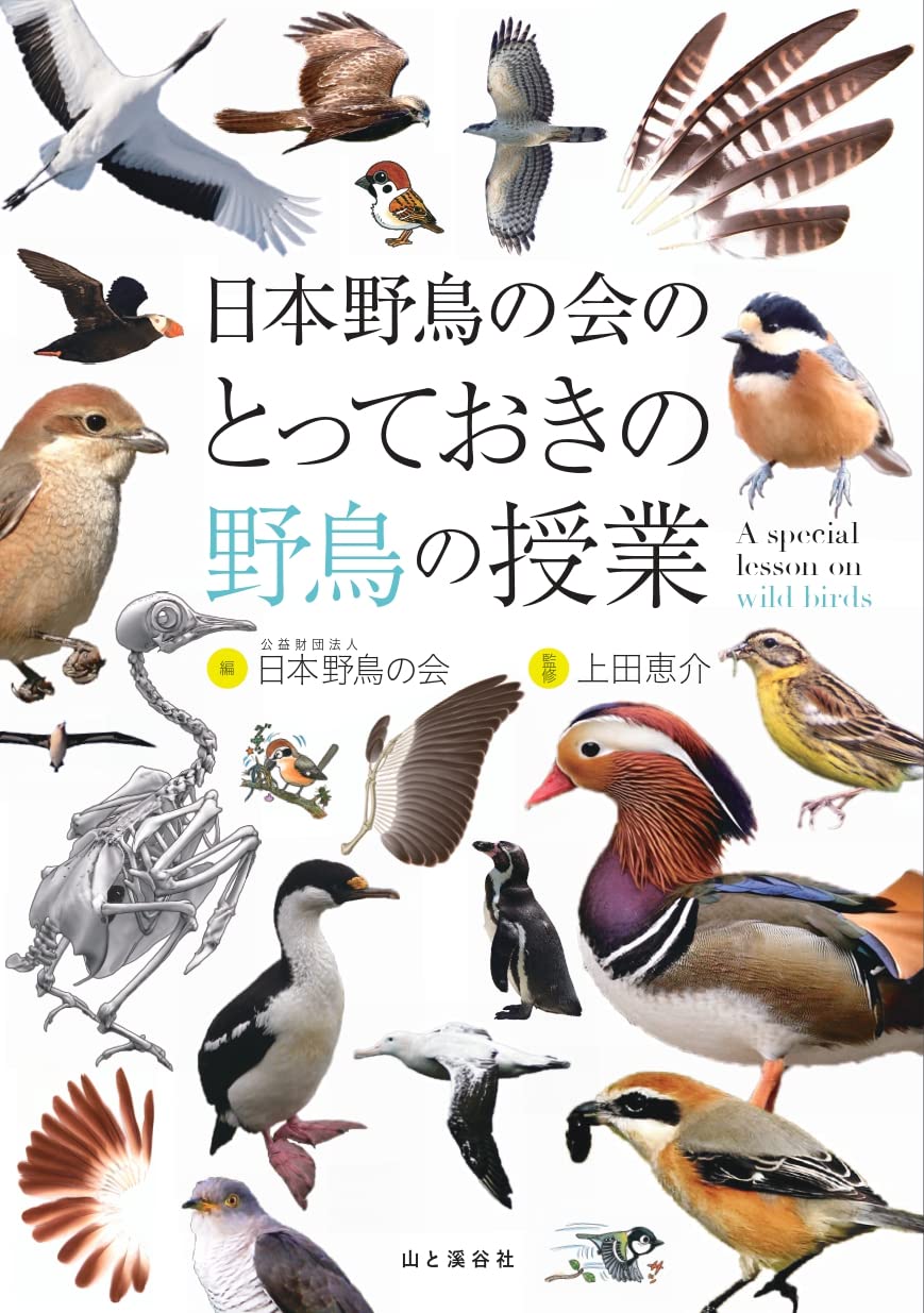 おすすめネット 日本の野鳥 本 Hlt No