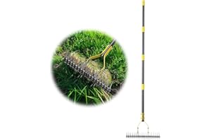 ETICSIPA Thatch Rake 5.5FT Heavy Duty Metal Dethatcher Rake with Adjustable Long Handle 19-Tine 15” Wide Lawn Yard Garden Tool for Cleaning Dead Leaf Grass Loosing Soil