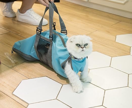 cat with bag