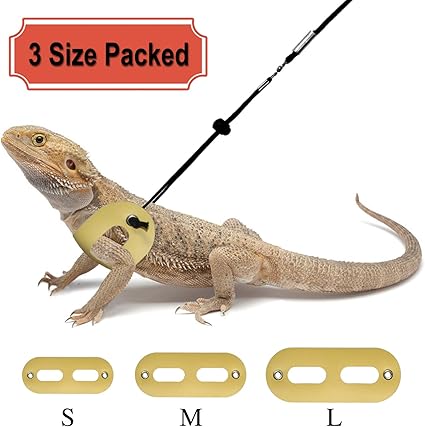gecko leash