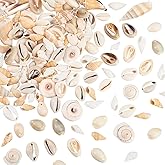 PH PandaHall 115125pcs Natural Sea Shells Ocean Spiral Seashells Craft Shell Charms Mixed Beach Seashells for Summer Beach Bracelet Necklace Jewelry DIY Craft Making Home Decor Vase Filler
