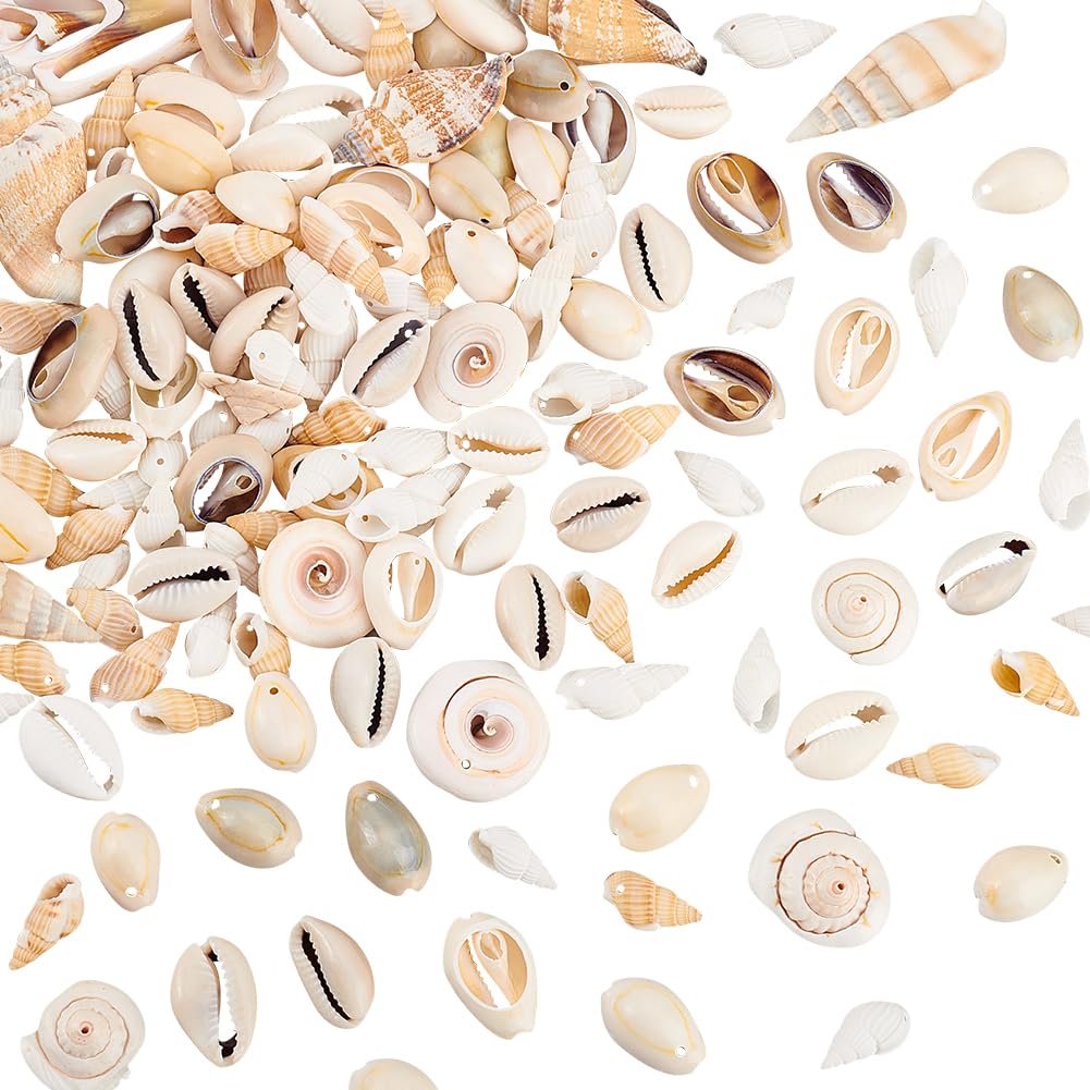 PH PandaHall 115-125pcs Trumpet Shell Beads, Dyed Natural Seashell Charms for Pendant DIY Craft Making Home Party Decoration Epoxy Resin Crafting, Mixed Shapes, Mixed Color