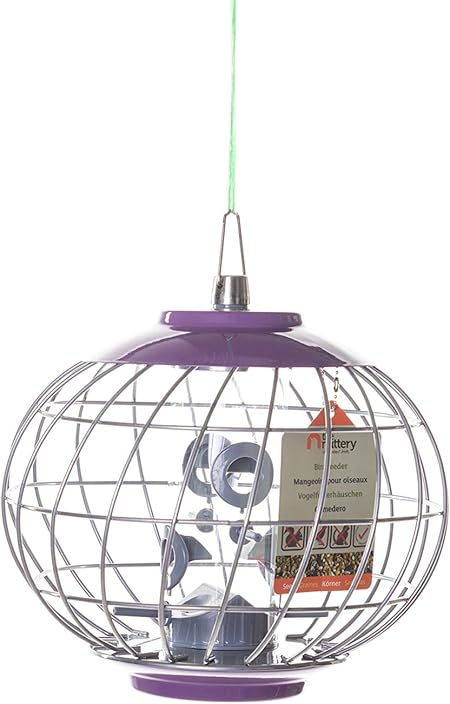 Amazon Com The Nuttery Land03a Lantern Seed Bird Feeder