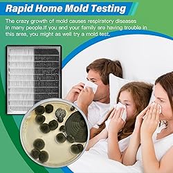 Mold Test Kit for Home - 12 Simple Detection