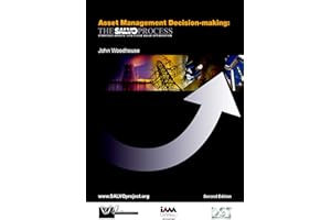 Asset Management Decision-making: The SALVO Process