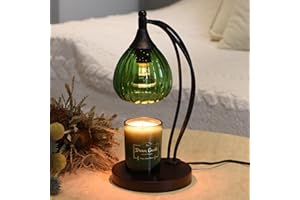 GOODBUY Candle Warmer Lamp, Electric Candle Warmer with Timer Dimmer - Candle Lamp Warmer for Scented Jar Candles - Candle Melter Lamp for Housewarming Gifts New Home Decor