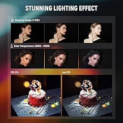 NEEWER LED Softbox Lighting Kit with 2.4G Remote, 2