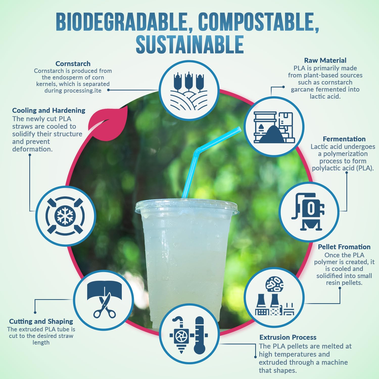 Weemium Compostable Straws - 300 Pack | 100% Plant-Based, Plastic-Free & Biodegradable Straws for Parties - Image 3