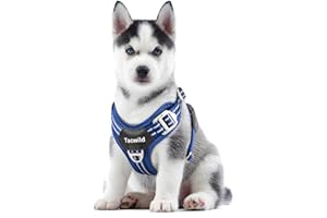 Tacwild No Pull Dog Harness - Adjustable Reflective Dog Vest with Metal Snap, Soft Breathable Mesh No Choke Puppy Harness, Easy to Put on & Take Off (Blue-XS)