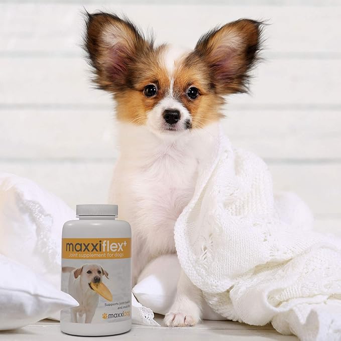 maxxiflex dog joint supplement