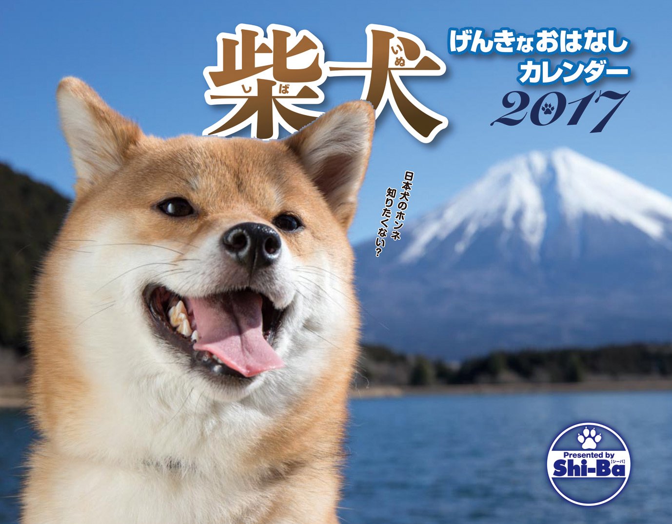 Amazon Co Jp 17カレンダー 柴犬げんきな おはなしカレンダー カレンダー Shi Ba編集部 文房具 オフィス用品