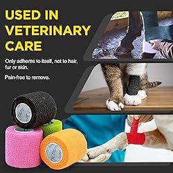 OK TAPE 12 Rolls Self Adhesive Bandage