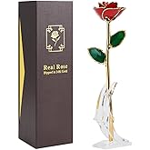 ENJOYPRO 24K Gold Dipped Real Rose, Preserved Rose with Stand, Eternal Forever Rose for Valentines Day, Mother's Day, Anniversary, Wedding, Birthday Gift for Her, Him