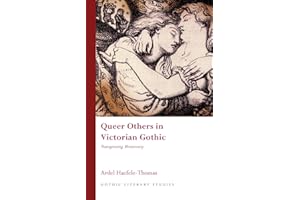Queer Others in Victorian Gothic: Transgressing Monstrosity (Gothic Literary Studies)