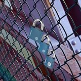 RosewineC Heavy Duty Padlock 38MM Iron Padlock with 3 Keys Weatherproof view 7