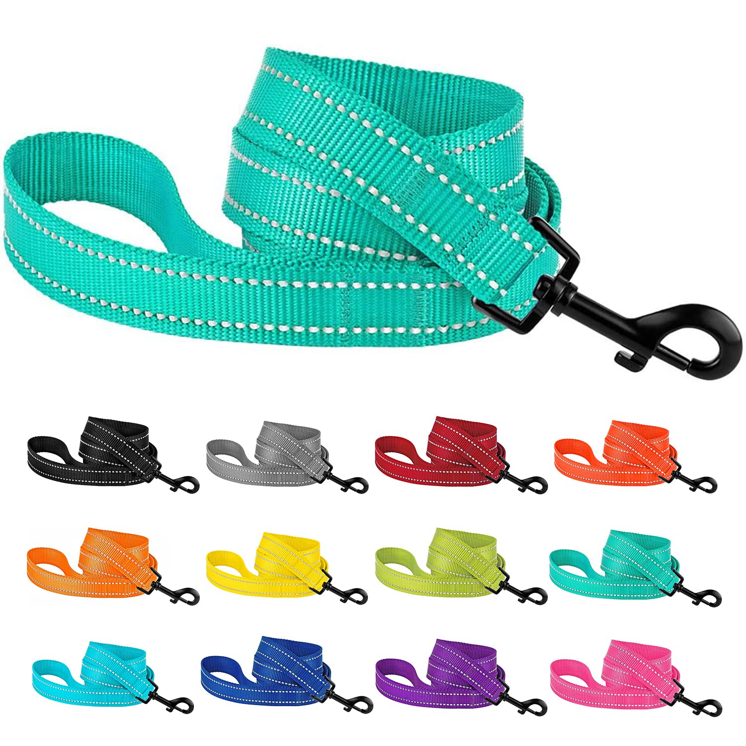 CollarDirect Nylon Dog Leash 5ft for Daily Outdoor Walking Running Training Heavy Duty Reflective Pet Leashes for Large, Medium & Small Dogs (M, Mint Green)