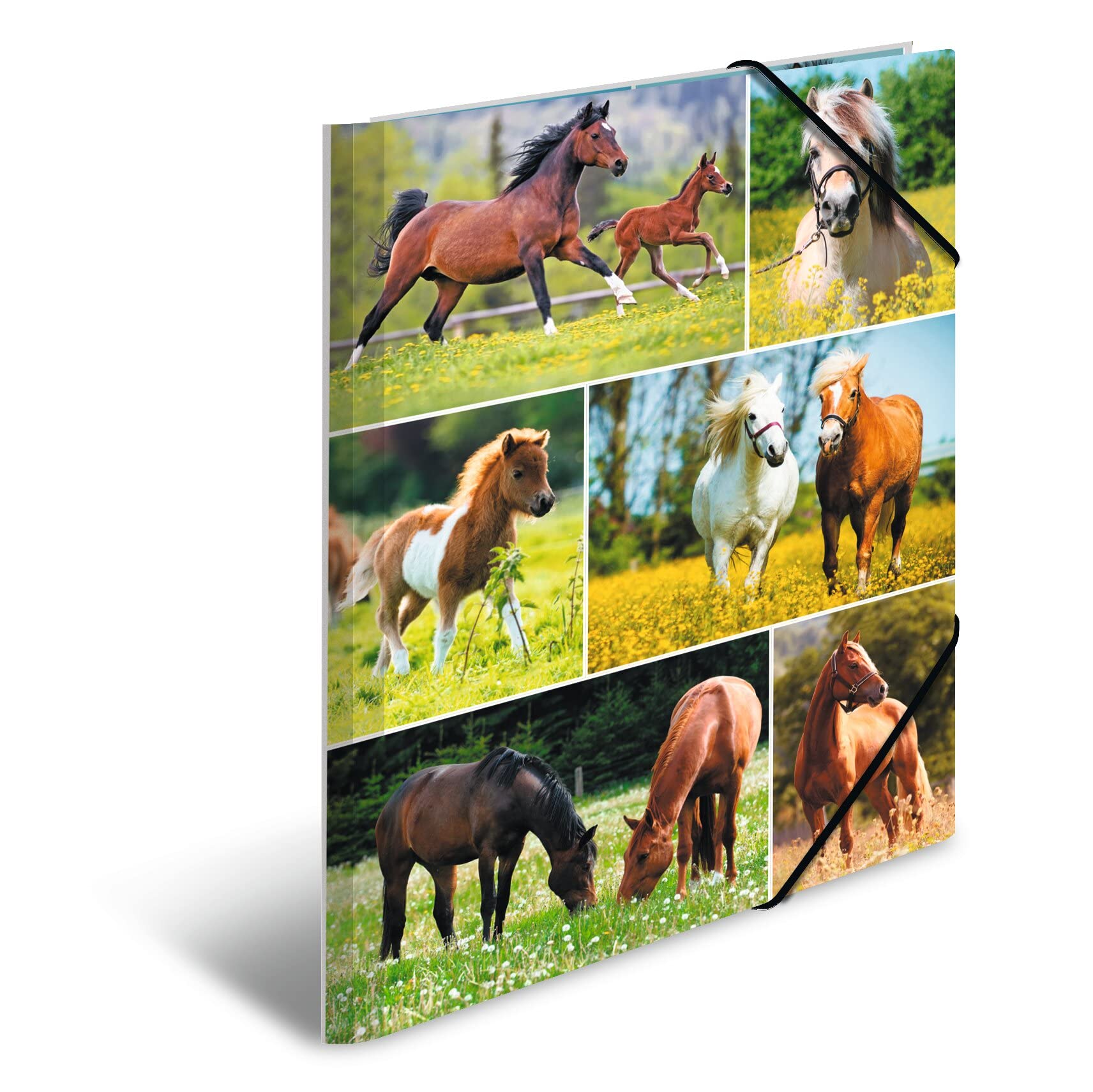 HERMA 19342 Portfolio Folder DIN A4 Animal Worlds Horse Meadow, Set of 3, Sturdy Cardboard, Organiser with Full Inner Print and Elastic Strap, Document Folder for Children, Boys and Girls