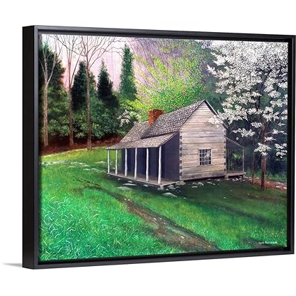 Amazon Com Herb Dickinson Floating Frame Premium Canvas With
