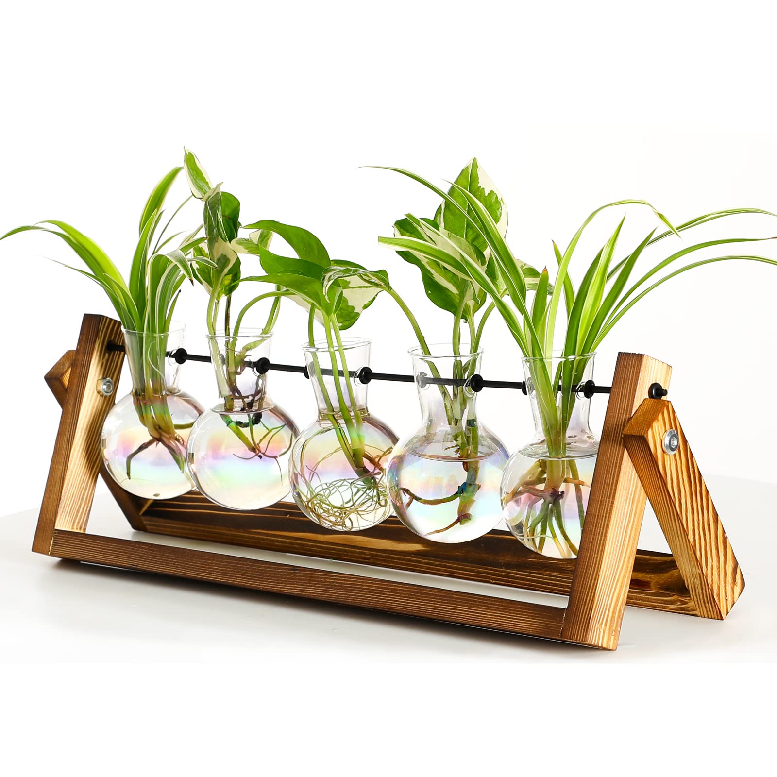 Plant Terrarium Propagation Station