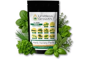 10 Herb Pack | Seeds for Planting: Culinary Herbs Collection | Indoor & Outdoor Garden Variety | Chervil, Chive, Cilantro, Le
