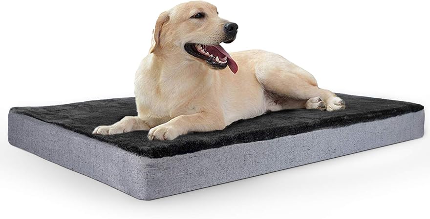 foam dog bed with removable cover