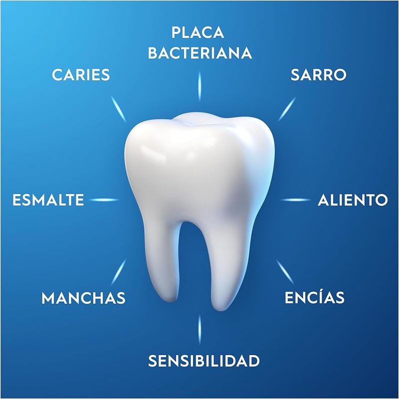 Pro-Expert Protección Profesional Pasta de Dientes, Pack 12x75 ml