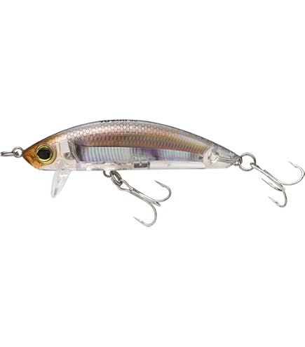 Youtaroh Amazon.com : Yo-Zuri R1438-PSBL: 3Dr-X Shad (Sp) 60Mm 2-3/8