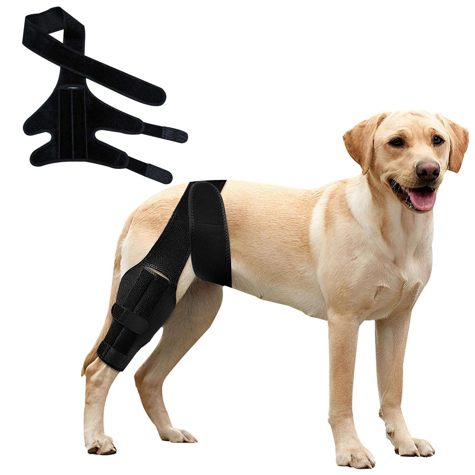 Photo 1 of DSIOHFEI Dog Knee Brace for Torn ACL, Dog Hind or Front Leg Supportive Brace with Side Stabilizers, Canine Rear Leg Hock Compression Wrap to Help Heal Sprains and Joint Pain (S)