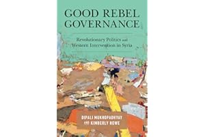 Good Rebel Governance