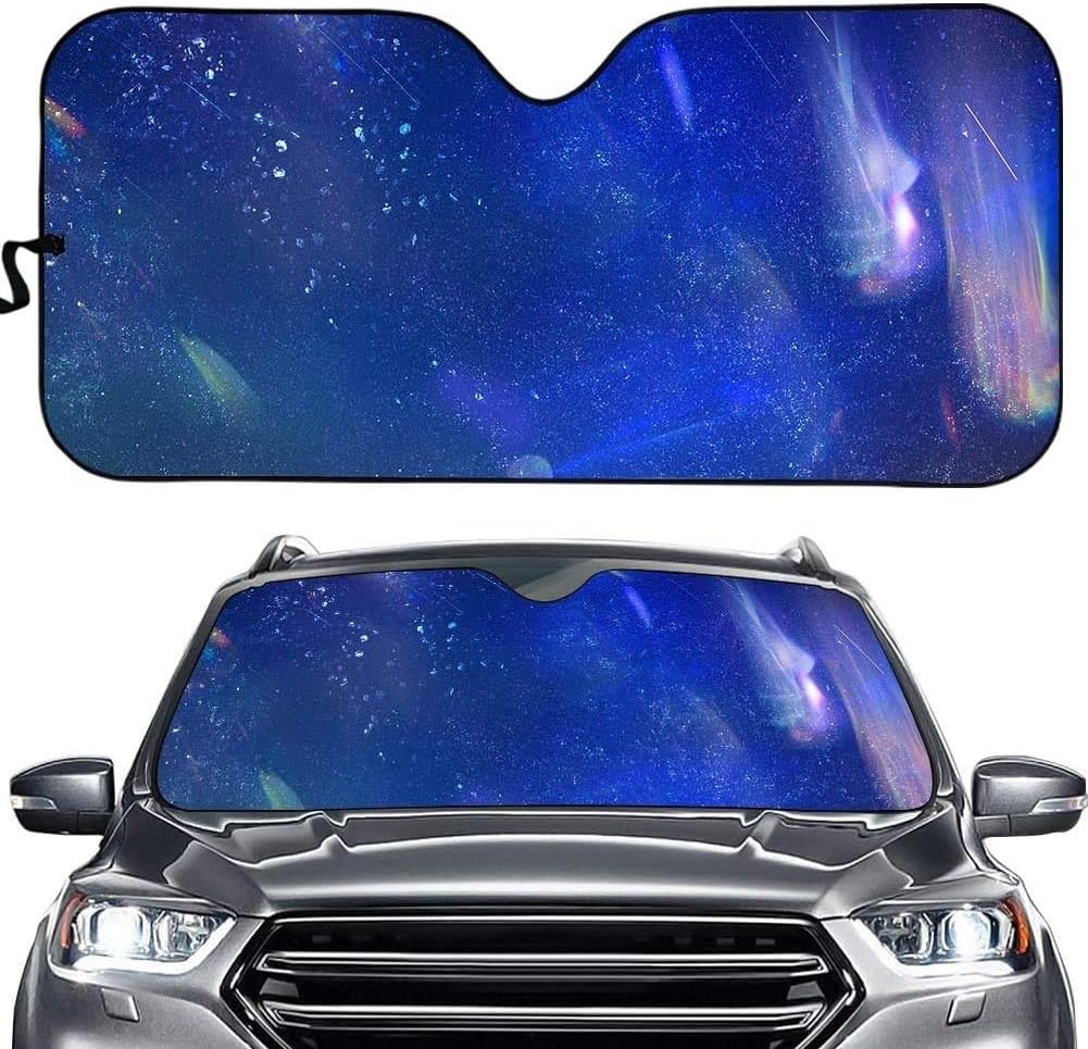 ChinaOEM Sun Block for Car Protect Against UV Rays Car Sun