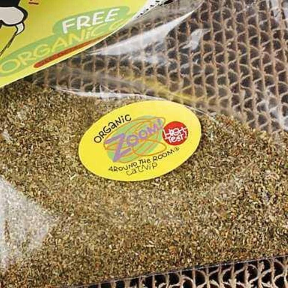 Petmate FATCAT Big Mama's Scratchy Box Cardboard Cat Scratcher, Catnip Toy Included : Scratching Pads : Pet Supplies
