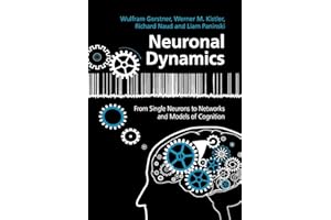 Neuronal Dynamics: From Single Neurons To Networks And Models Of Cognition