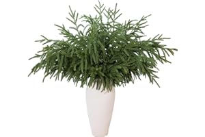 GIAUMA 12 Pcs 30 Inch Artificial Norfolk Pine Stems Faux Christmas Greenery Pine Branches Realistic Fake Evergreen Cedar Pine Picks Winter Greens for Vase DIY Garland Wreath Holiday Home Decor