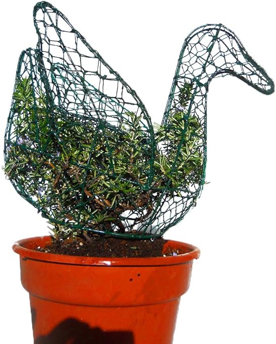 Pato 12 pulgadas de alto W/planta Topiary marco, hecho a mano ...
