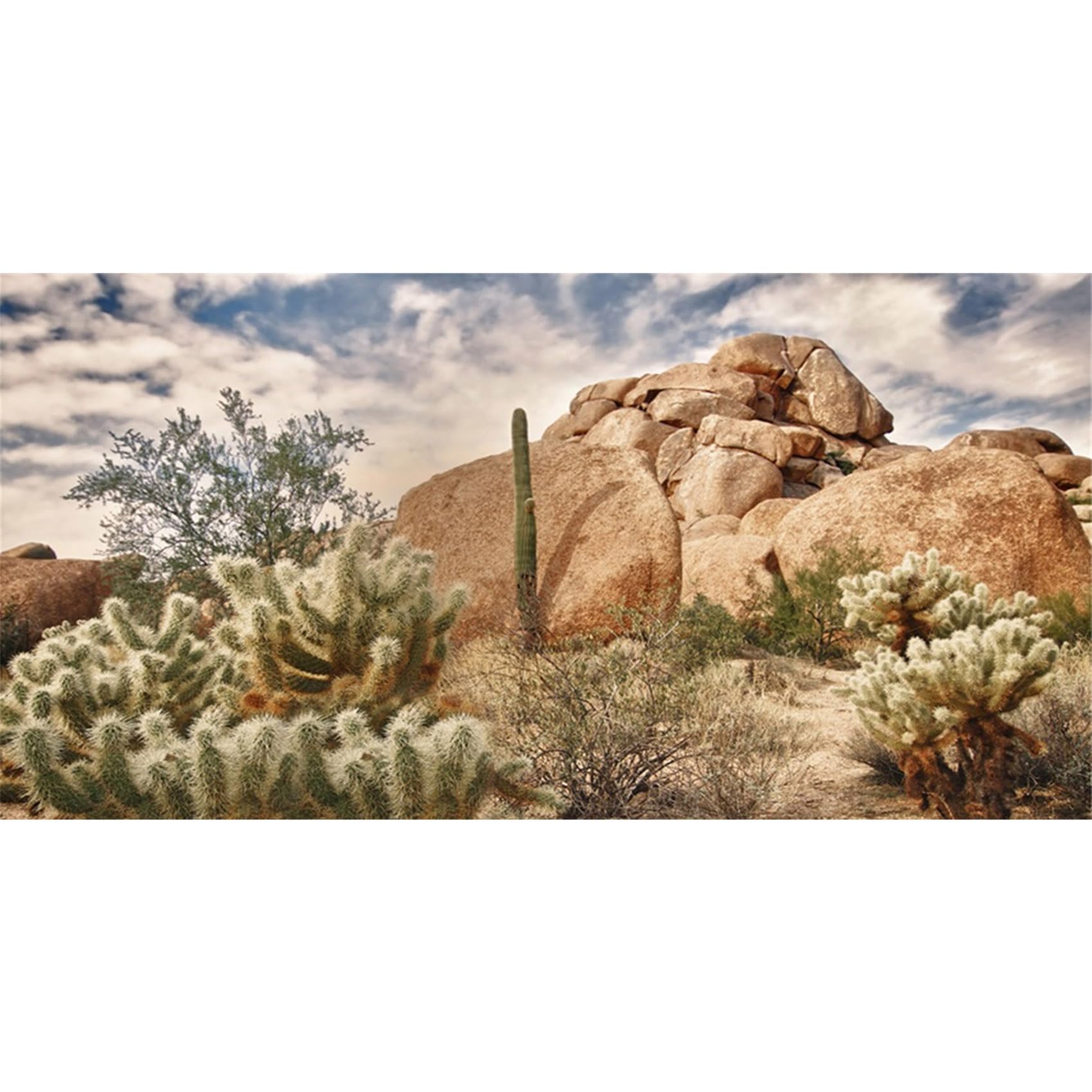MIRRORANG 76x46cm Durable Vinyl Terrarium Background Blue Sky Rocky Huge Cactus Gobi Sun and Desert Reptile Habitat Background