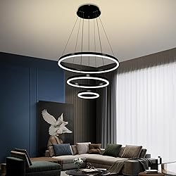 Viruhaka Modern LED Pendant Light, Black Circular