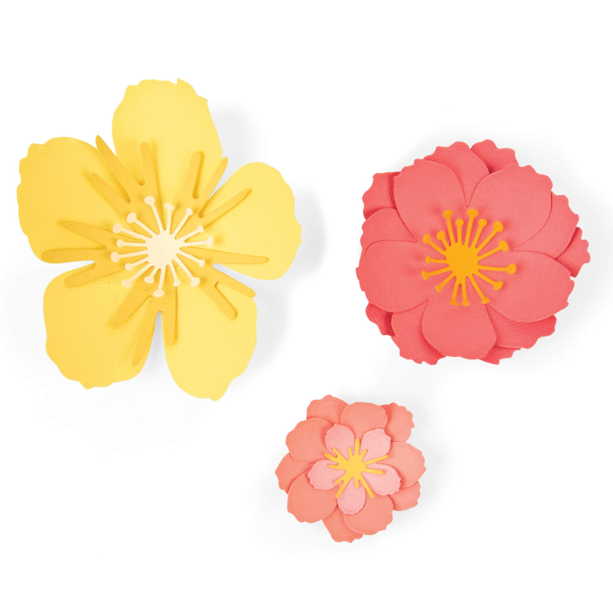Sizzix Thinlits Die Set 7 Pack 664443, Floral Blossom by Jen Long, Multicolour, One Size