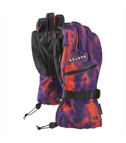 Amazon.com : Dakine Team Phoenix Gore-Tex Glove - Sammy Carlson