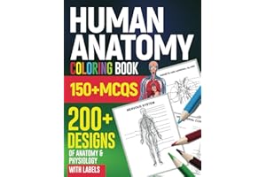 kindle best category lists