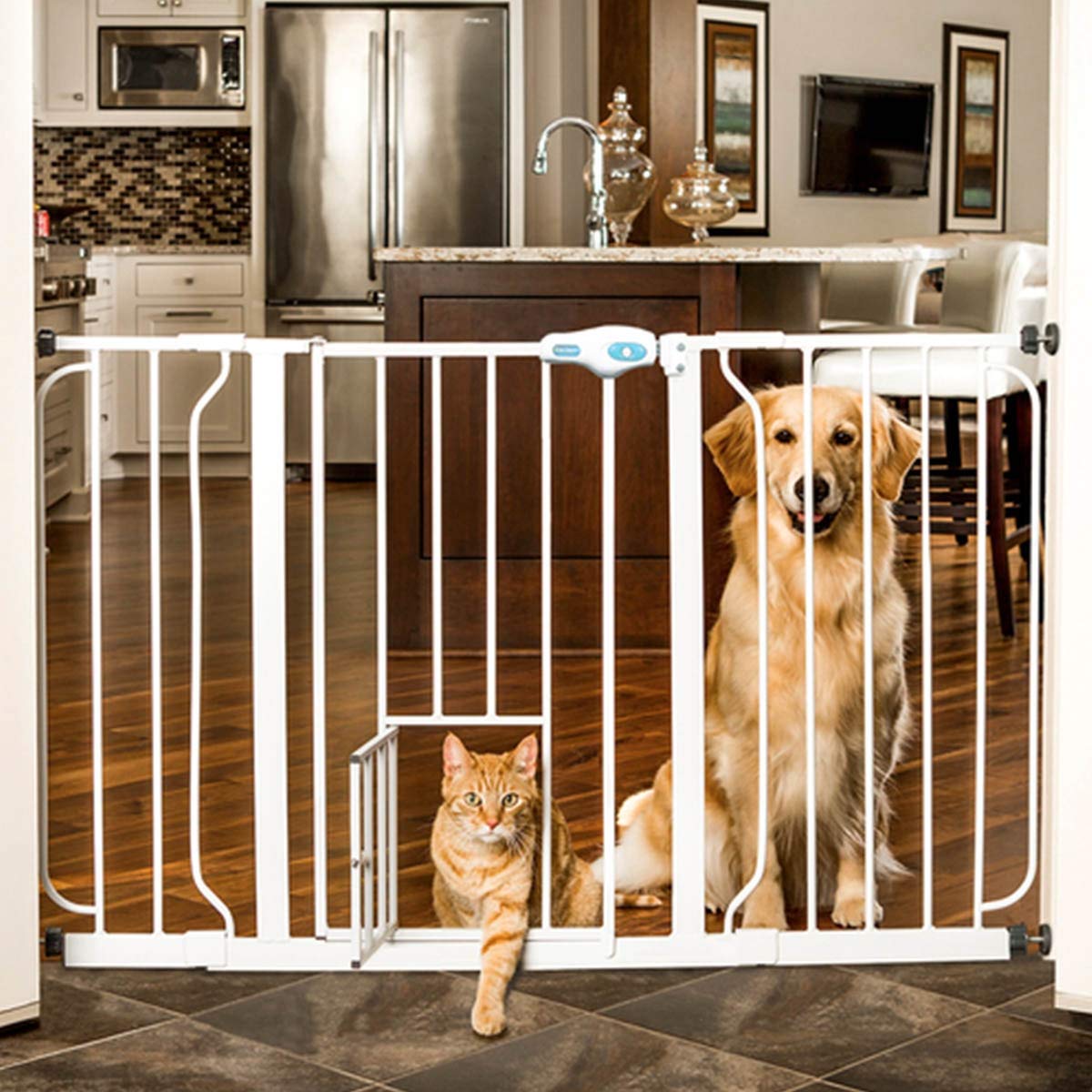 gate with cat door