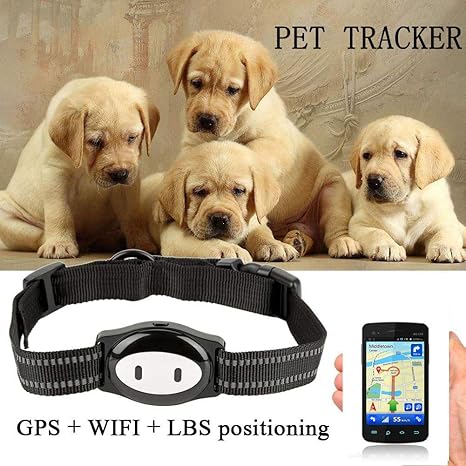 Traqueur étanche Pour Chienchat Localisateur De Suiveur De